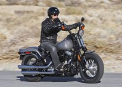 Harley-Davidson FLSTSB Softail Cross Bones